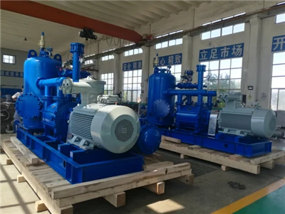 Hydrogen Liquid Ring Kompressor